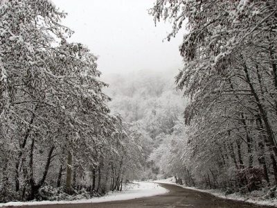 ویدئو| عملیات راهداری زمستانی در سطح محورهای کوهستانی
شهرستان گلوگاه توسط راهداران استان مازندران