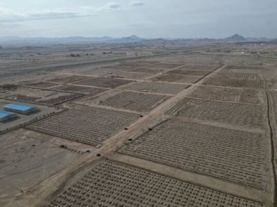 پارک جنگلی، ارمغان قلبی سبز برای شهر کویری زاهدان