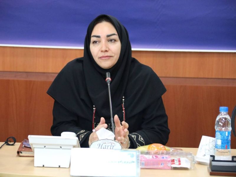 راه اندازی و تکمیل ۱۱ ایستگاه هواشناسی تا پایان سال ۱۴۰۴ در
استان زنجان 