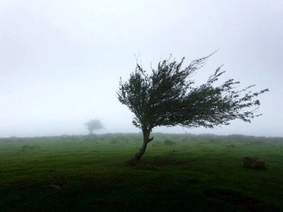 وزش باد شدید و گرد و خاک تا ۵ روز آینده