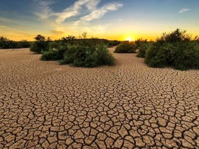 دادگاه لاهه: تغییرات اقلیمی تهدیدی فوری و وجودی برای کشورها است
