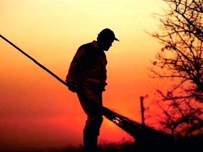 اعتراف شهرداری به کاهش پاکبان بعد از خروج اتباع