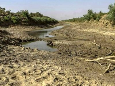 خشک شدن ۲ مخزن هورالعظیم به دلیل گرما؛ ادامه آتش سوزی در بخش عراقی