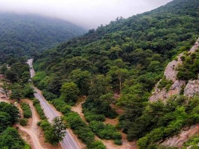 هوشمندسازی پارک ملی گلستان؛ دستور ویژه رئیس‌جمهور