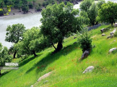 چندپاره شدن سازمان منابع طبیعی پیامدی جز تخریب سرزمین ندارد