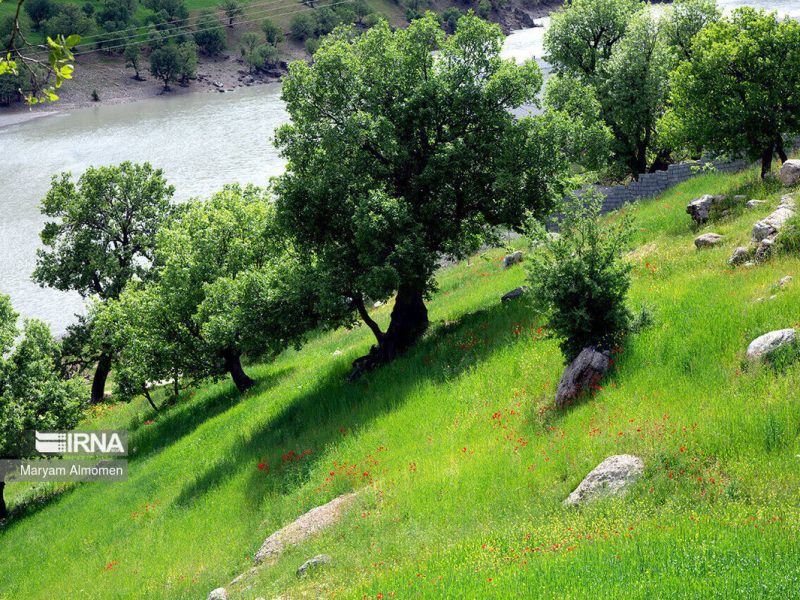 چندپاره شدن سازمان منابع طبیعی پیامدی جز تخریب سرزمین ندارد