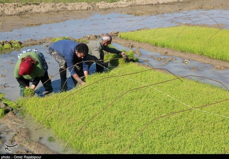 اخبار استان مازندران , اخبار بابل , 