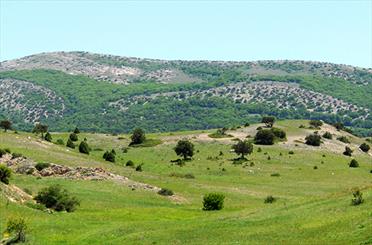 از پلنگ ایرانی تا جنگل‌های هیرکانی؛ گنجینه‌ای که باید حفظ شود
