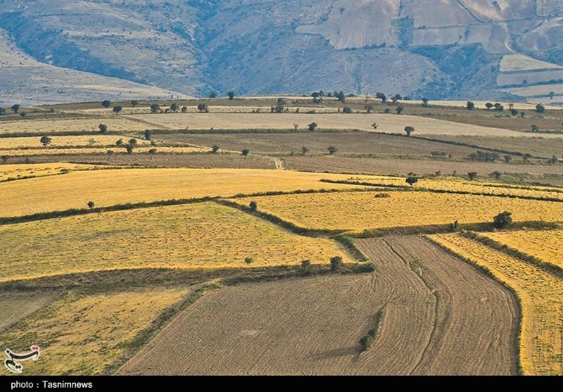 اخبار استان گلستان , کشاورزی , 