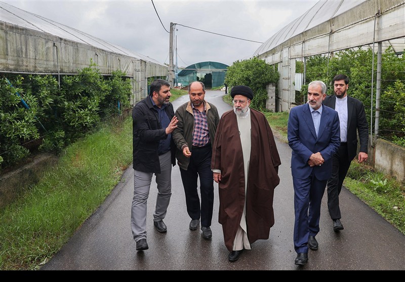 اخبار استان مازندران , اخبار ساری , 