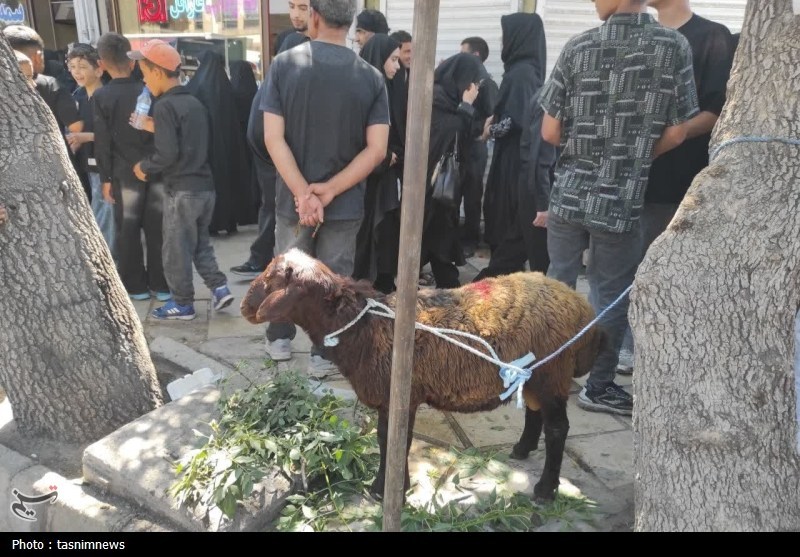 اخبار زنجان , محرم , حسینیه تسنیم , 
