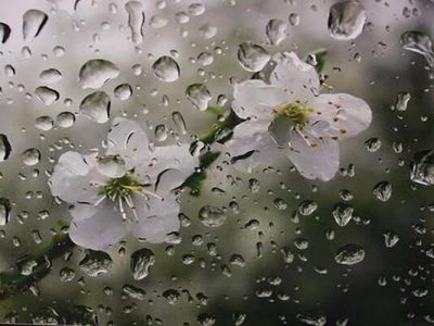 بارش پراکنده باران در ارتفاعات زاگرس مرکزی