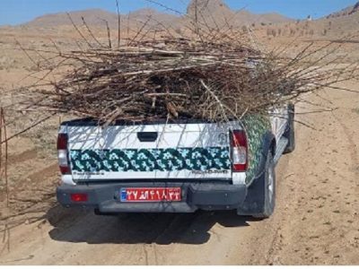 رفع تصرف از ۴۳۰۰ متر مربع از اراضی ملی استان چهارمحال و
بختیاری در ۵ روز اول سال ۱۴۰۴