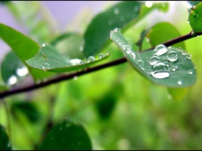 پیش‌بینی کاهش دما از پنجشنبه تا اواسط هفته آینده در شمال و
غرب ایران
