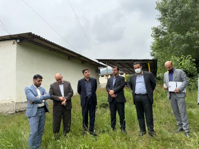 بازدید معاون املاک و حقوقی سازمان ملی زمین و مسکن از اراضی
سازمان جهاد کشاورزی در کردکوی