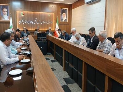 ۳۱ ناوگان عمومی گلستان برای مراسم ارتحال امام(ره) اعزام می
شوند