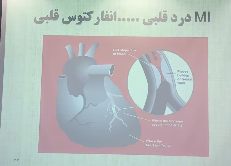 ببینید| برگزاری دوره آموزشی امداد و نجات در اداره کل راه و
شهرسازی خوزستان