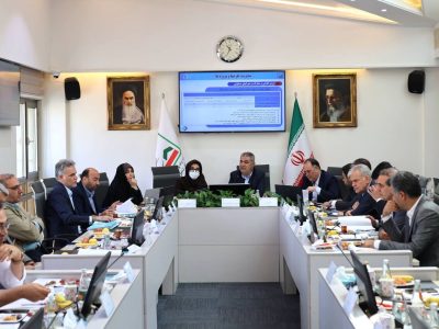 تشریح راهبردهای اصلی سازمان ملی زمین و مسکن
