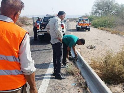 جمع‌آوری گاردریل‌های آسیب‌دیده محور بندر لنگه – بندر خمیر
آغاز شد