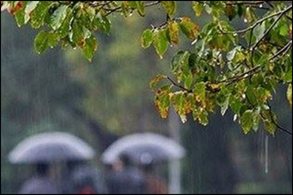 هشدار بالاآمدن سطح آب رودخانه‌ها و رانش کوه در ۳ استان
پربارش