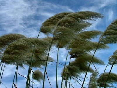 هشدار وزش باد شدید و فعالیت سامانه بارشی در تهران