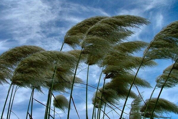 هشدار وزش باد شدید و فعالیت سامانه بارشی در تهران