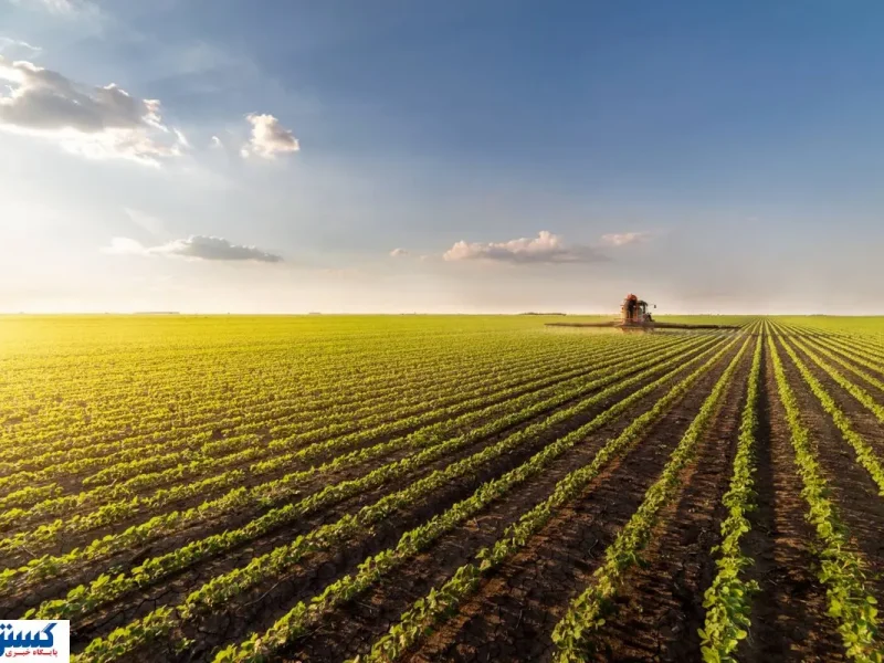 آژیر قرمز برای کشاورزی ایران به صدا درآمد