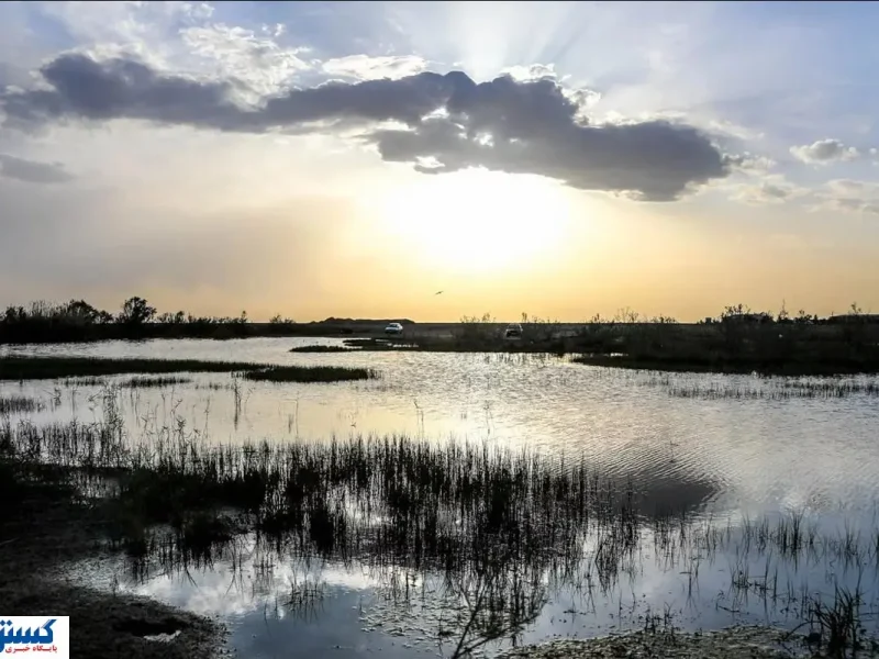 هامون مُرد ؛ سم مهلک زیر جلد یارانه !