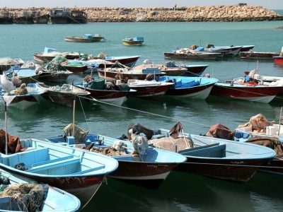 هفتم آبان‌ماه ۱۴۰۴  آخرین مهلت نهایی ثبت قایق‌های فاقد
هویت در استان بوشهر است