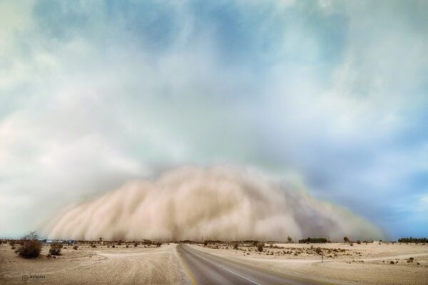 گرد و خاک در غرب و البرز/ تلاطم در آبهای خلیج فارس و
خزر