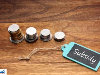 آیین‌نامه جدید یارانه‌ها ابلاغ شد