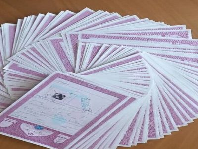 اخذ ۴۵ سند تک برگ برای اراضی دولتی در دشت آزادگان