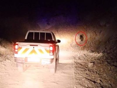 ببینید | بازدید سرپرست اداره کل راهداری و حمل و نقل جاده‌ای
استان البرز از روستاهای پایین طالقان ‌