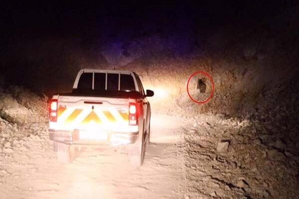 ببینید | بازدید سرپرست اداره کل راهداری و حمل و نقل جاده‌ای
استان البرز از روستاهای پایین طالقان ‌