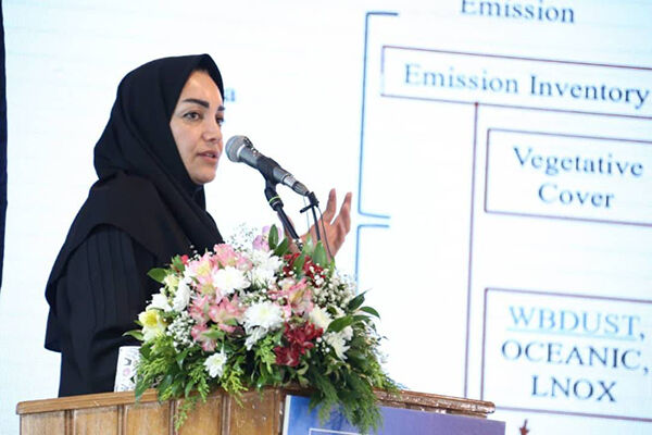 تصویب برنامه تغییر اقلیم در هیات دولت