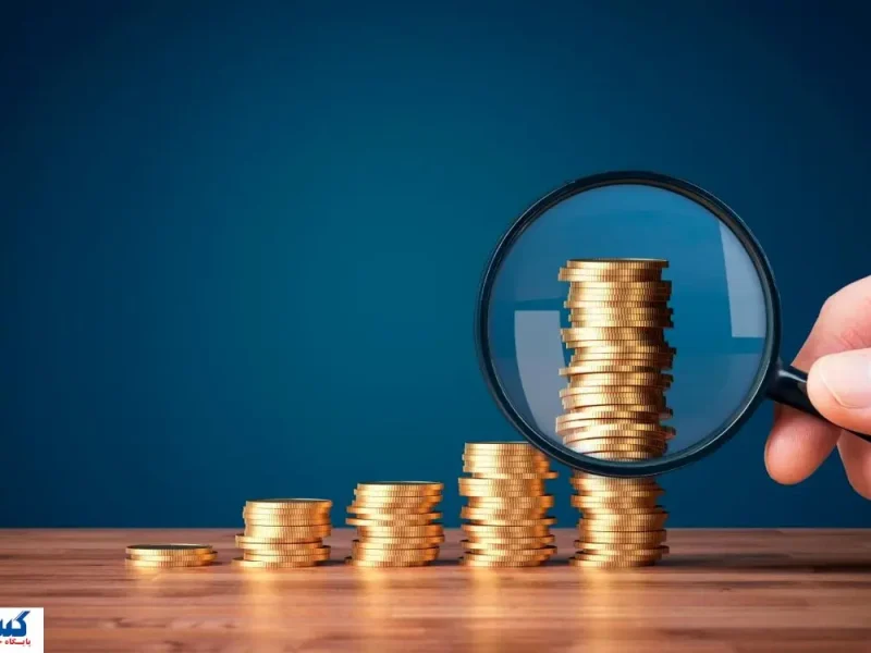 دولت حمایت‌های اقتصادی را به یارانه نقدی و کالابرگ منتقل کرد