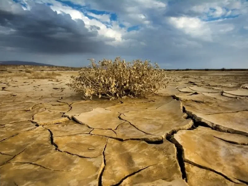 رگهای حیاتی کشور خشک شد | این آمار تاریخ را لرزاند