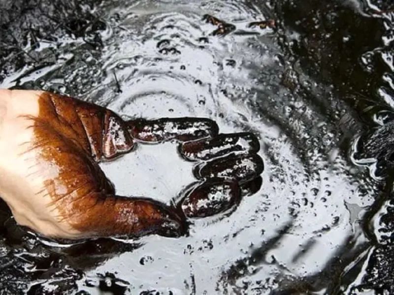 معامله گران در بُهت ؛ نفت قربانی شد