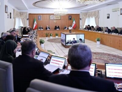 معرفی مدیرعامل شرکت هواپیمایی «ایران‌ایر» در جلسه هیات
دولت