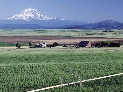 هشدار به کشاورزان/کاهش محسوس دما و یخبندان شبانه در مناطق
سردسیر