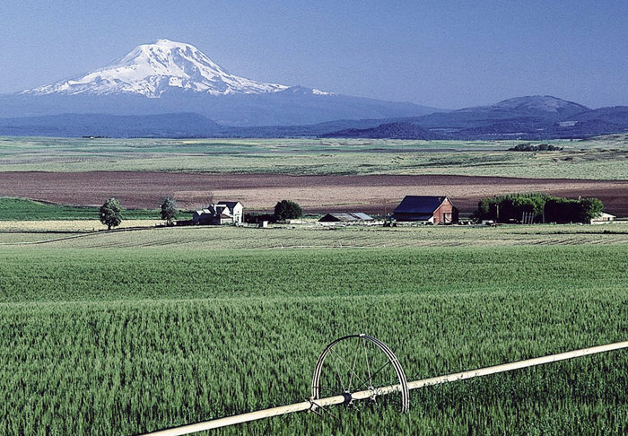 هشدار به کشاورزان/کاهش محسوس دما و یخبندان شبانه در مناطق
سردسیر