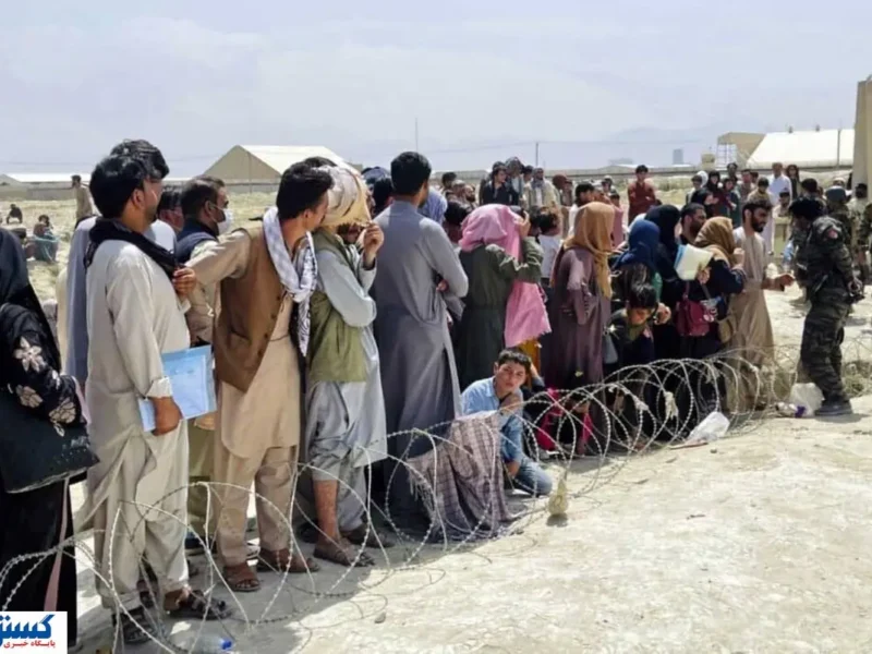 پشت پرده آمار ۸ هزار ویزای کار؛ کارگران افغانستانی بیمه تامین اجتماعی میشوند