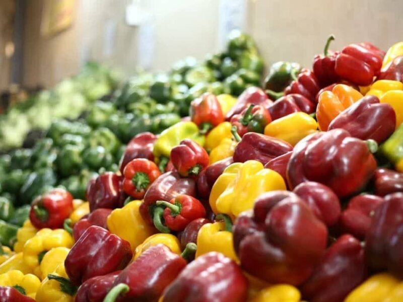 ۵ بازار میوه و تره بار جدید در تهران افتتاح شد/ افتتاح ۱۰ بازار دیگر تا اردیبهشت ۱۴۰۵