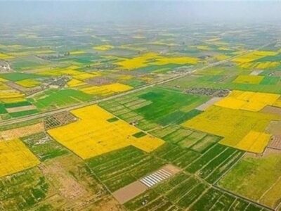 ۷۰ درصد اراضی کشاورزی سنددار شدند