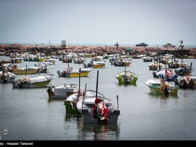 آغاز اجرای پروژههای بهسازی در ۱۷ بندر ماهیگیری کشور