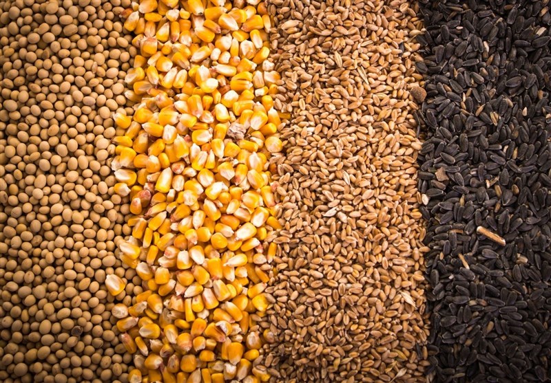 آغاز تخلیه و بارگیری نهاده های دامی تحت کلید دولت