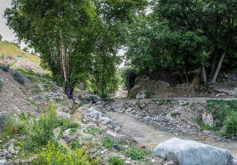 اخبار تهران|بررسی روند تبدیل پادگان ساصد خیابان پیروزی به بوستان