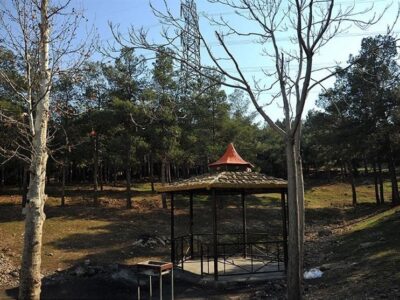 اخبار تهران|توسعه گردشگری پارک جنگلی سرخه حصار