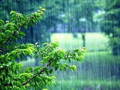 بارندگی‌های اخیر مشکل کم آبی تهران را حل کرد؟ / آخرین وضعیت تنش آبی پایتخت