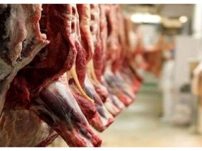 بازار گوشت قرمز ملتهب می‌شود